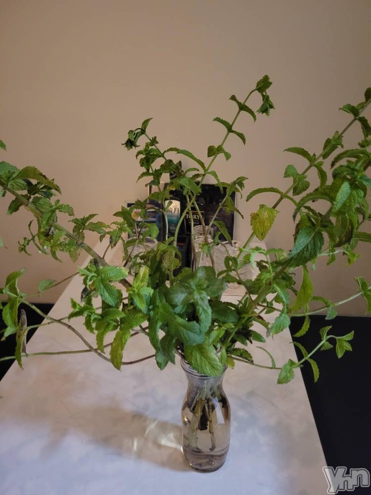 ���ܥ���Х��顦�����club RUDAN(����֥����) ������7��6���̥�֥����֥ߥ�ȡ�