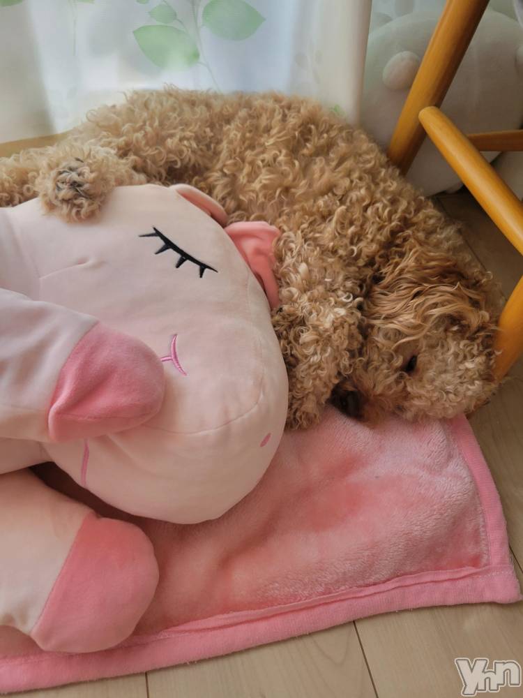 ���ܥ���Х��顦�����club RUDAN(����֥����) ������7��6���̥�֥����֥�˥�����(*����`)��