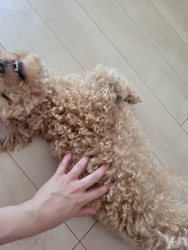 ���ܥ���Х��顦�����club RUDAN(����֥����) ������7��14���̥�֥�����7��14�� 09��57ʬ�Υ֥�����