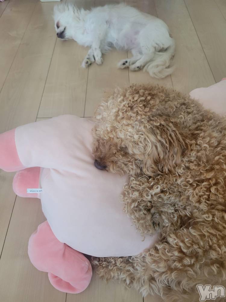 ���ܥ���Х��顦�����club RUDAN(����֥����) ������7��17���̥�֥����֤��뿲��