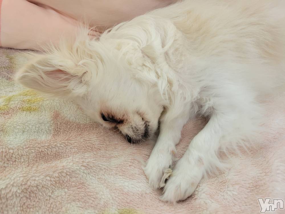 ���ܥ���Х��顦�����club RUDAN(����֥����) ������7��26���̥�֥����֤��뿲��