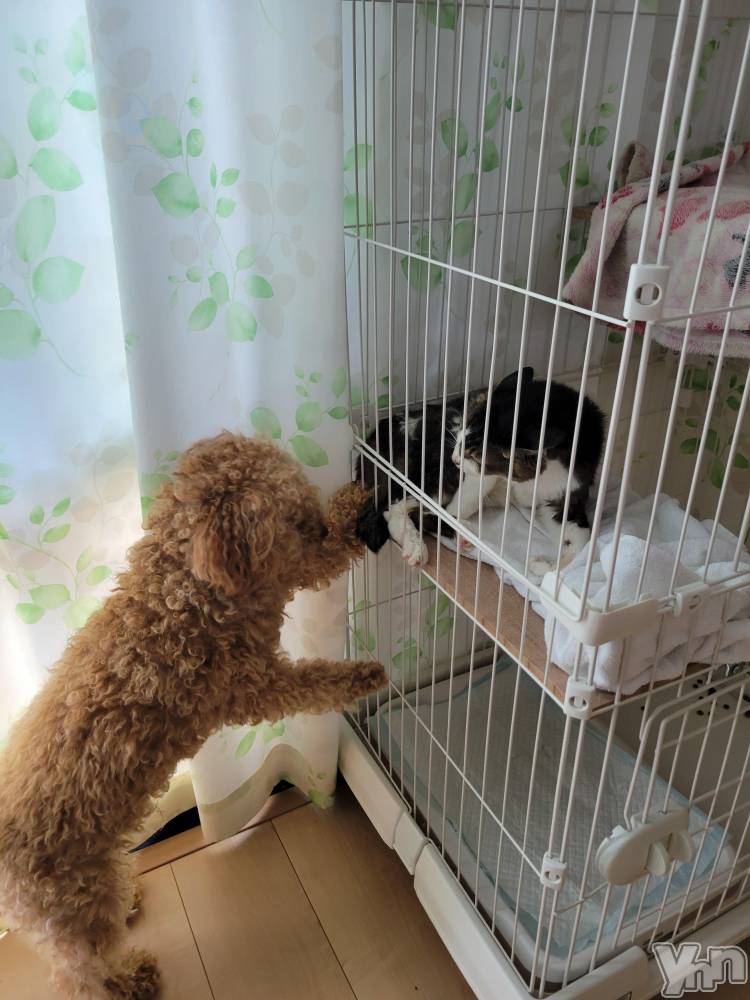 ���ܥ���Х��顦�����club RUDAN(����֥����) ������7��28���̥�֥����ֿ�����🐱��