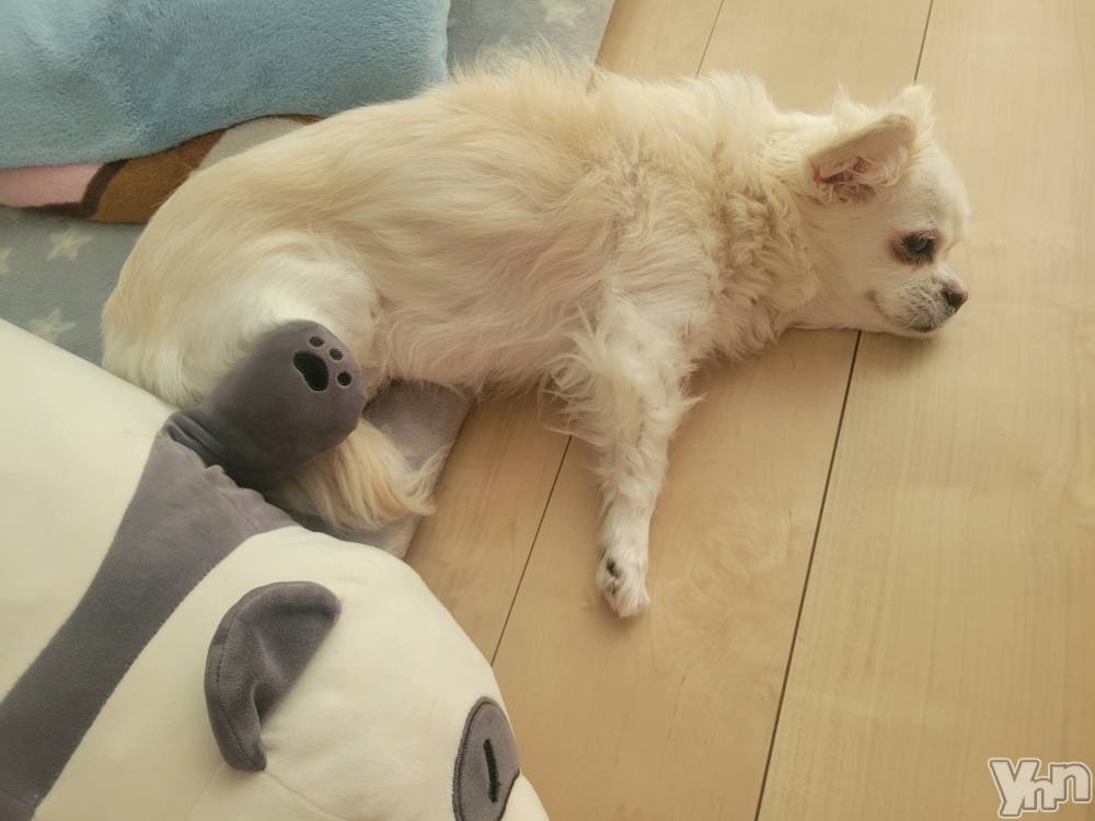 ���ܥ���Х��顦�����club RUDAN(����֥����) ������9��1���̥�֥�����9��Ǥ�( *��︶`*)��