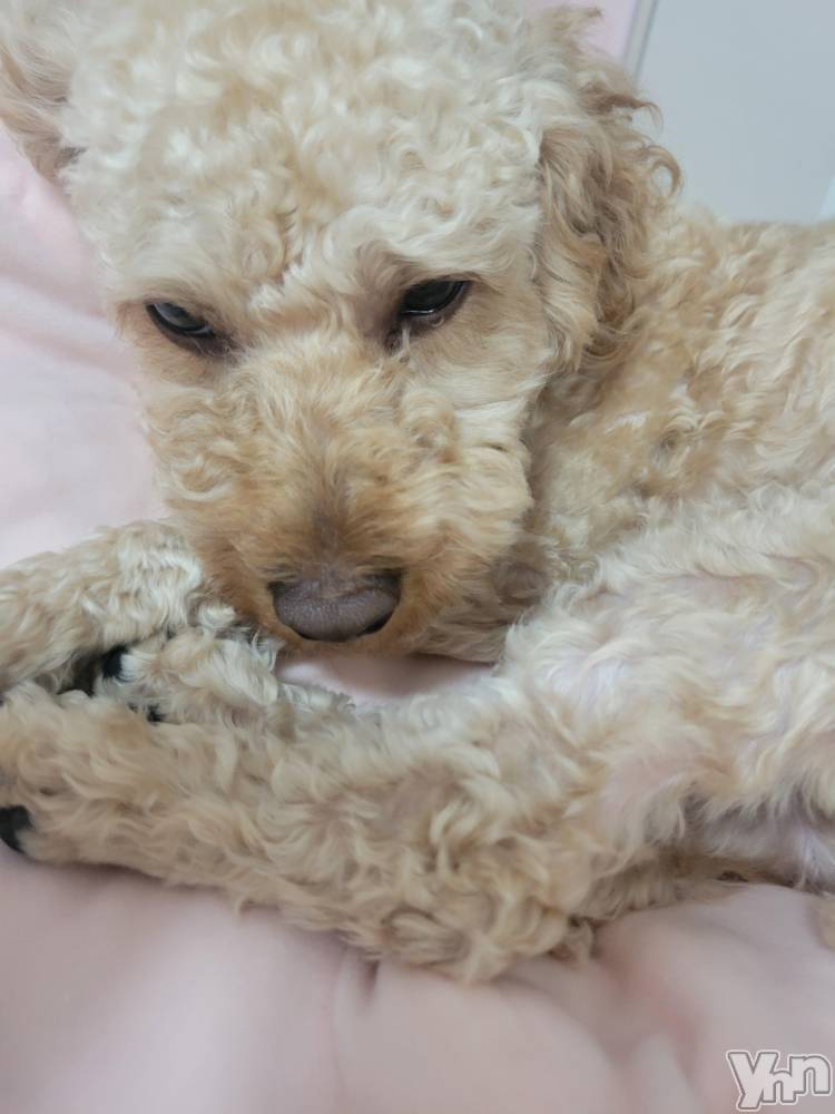 ���ܥ���Х��顦�����club RUDAN(����֥����) ������9��6���̥�֥����֤⤳�⤳����