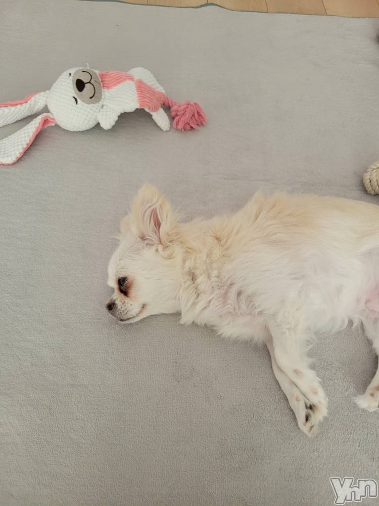 ���ܥ���Х��顦�����club RUDAN(����֥����) ������9��16���̥�֥�������Ĵ���ɡ�