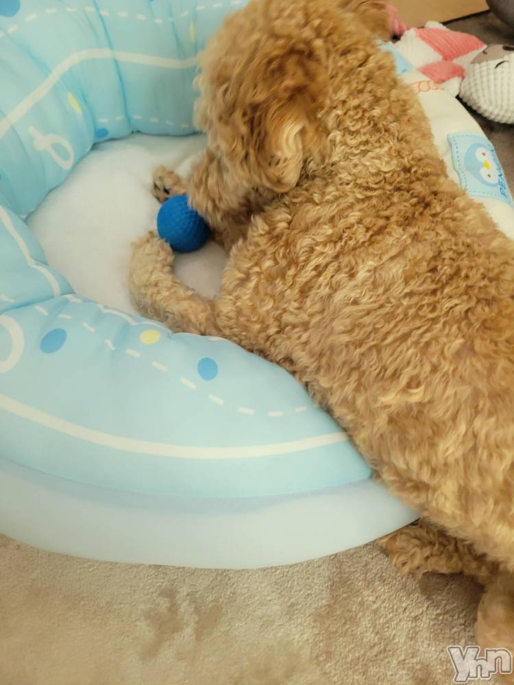 ���ܥ���Х��顦�����club RUDAN(����֥����) ������9��20���̥�֥����֥�ե�դ����