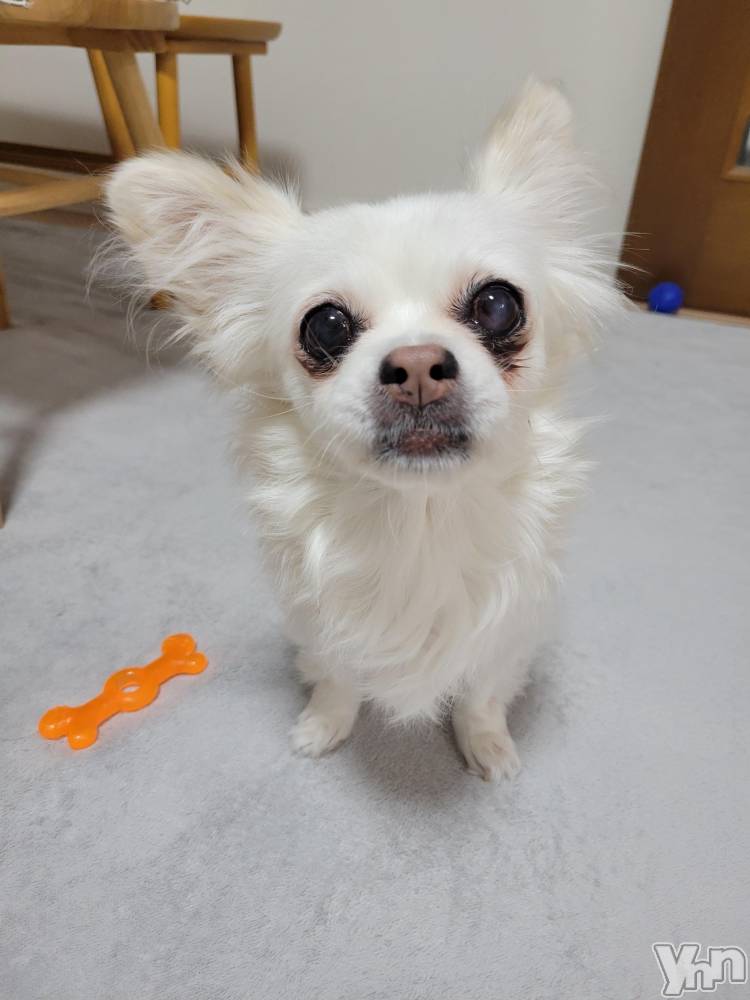 ���ܥ���Х��顦�����club RUDAN(����֥����) ������9��27���̥�֥����������Ѥ���