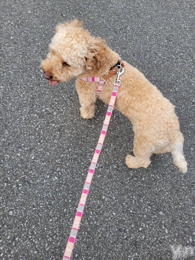 ���ܥ���Х��顦�����club RUDAN(����֥����) ������10��2���̥�֥����֤��������