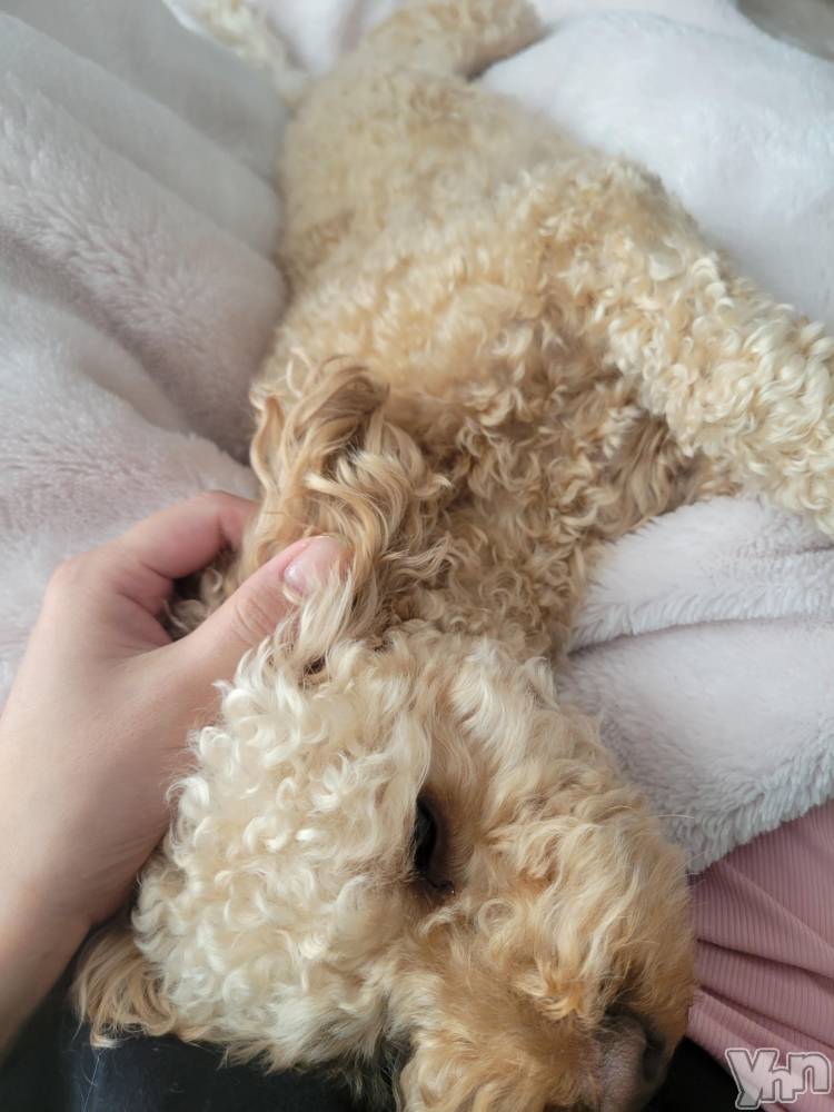 ���ܥ���Х��顦�����club RUDAN(����֥����) ������10��9���̥�֥����֤⤳�⤳����