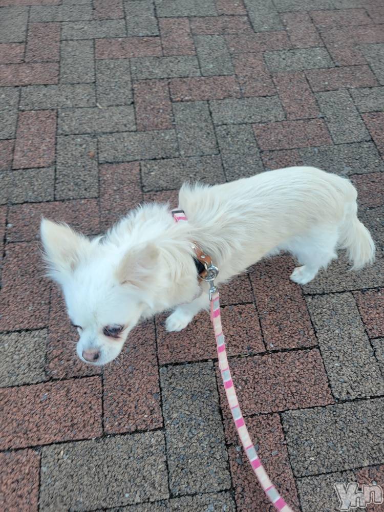 ���ܥ���Х��顦�����club RUDAN(����֥����) ������10��16���̥�֥����֤������