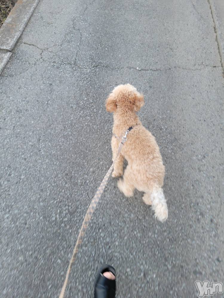 ���ܥ���Х��顦�����club RUDAN(����֥����) ������11��13���̥�֥����֤������