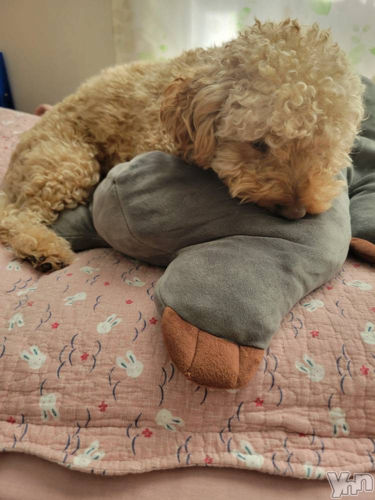 ���ܥ���Х��顦�����club RUDAN(����֥����) ������11��22���̥�֥����֤�դ�շ���