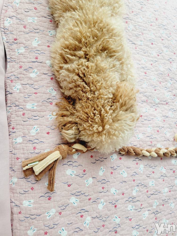 ���ܥ���Х��顦�����club RUDAN(����֥����) ������11��26���̥�֥����֤������������.:��������