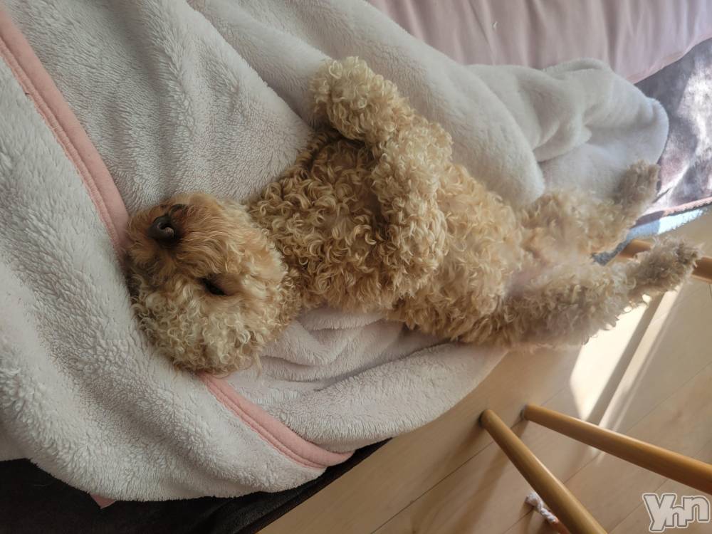 ���ܥ���Х��顦�����club RUDAN(����֥����) ������11��28���̥�֥�����11��28�� 16��03ʬ�Υ֥�����