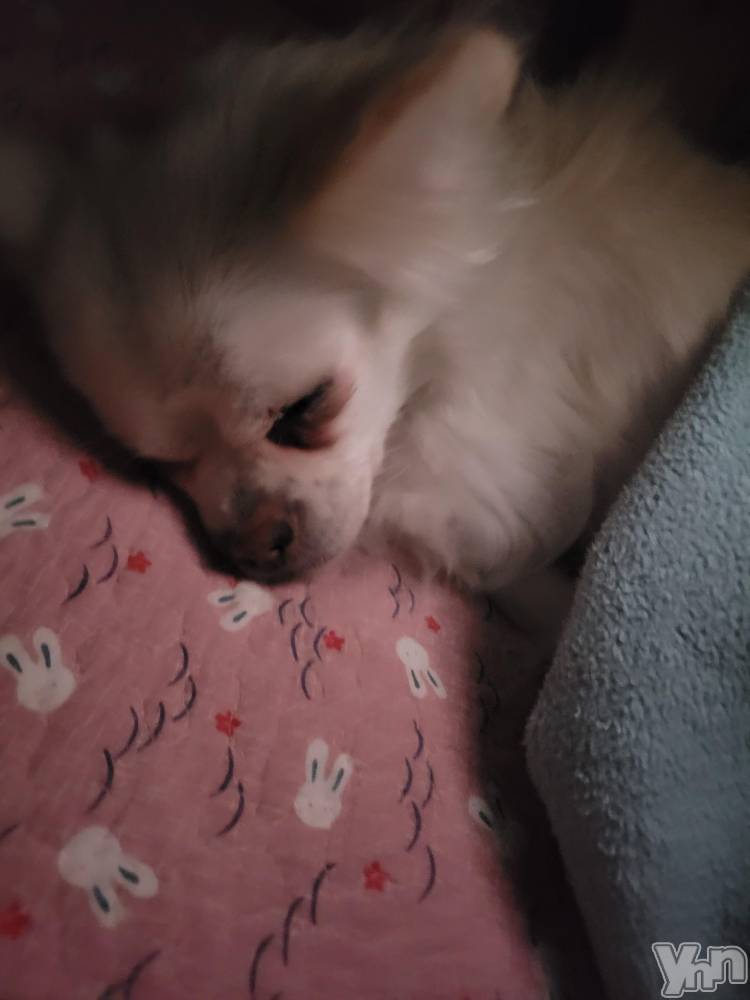 ���ܥ���Х��顦�����club RUDAN(����֥����) ������12��10���̥�֥���������( *��︶`*)��