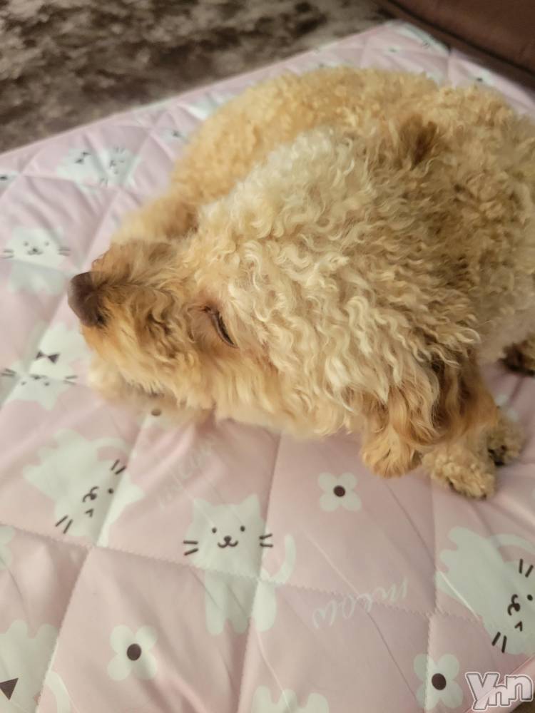 ���ܥ���Х��顦�����club RUDAN(����֥����) ������12��15���̥�֥����֤⤳�⤳����✩.*�����