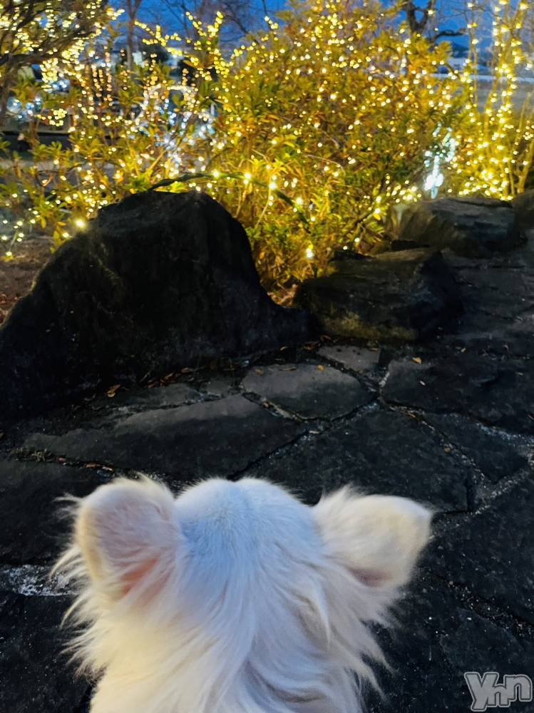 ���ܥ���Х��顦�����club RUDAN(����֥����) ������12��24���̥�֥����֥���ߥ͡�������