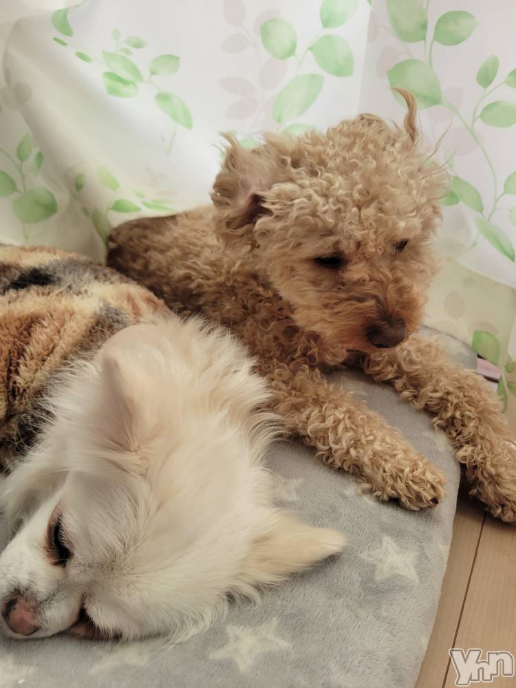 ���ܥ���Х��顦�����club RUDAN(����֥����) ������12��28���̥�֥����ֿ�������