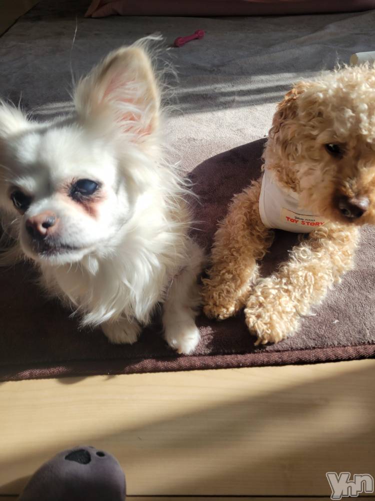 ���ܥ���Х��顦�����club RUDAN(����֥����) ������1��27���̥�֥��������ɤ�����