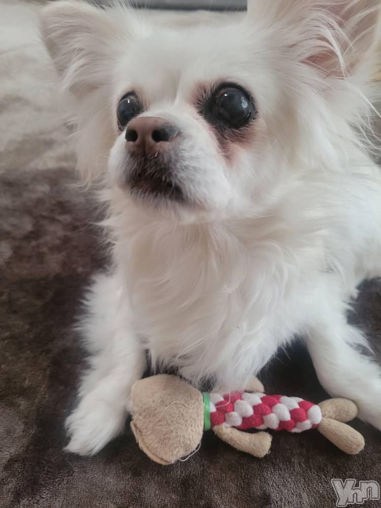 ���ܥ���Х��顦�����club RUDAN(����֥����) ������2��6���̥�֥�������❄��