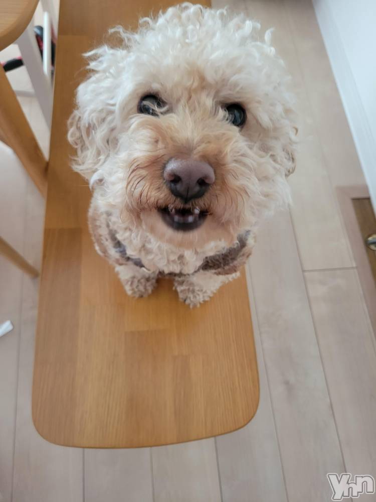 ���ܥ���Х��顦�����club RUDAN(����֥����) ������2��13���̥�֥����ֲ�ʴ��