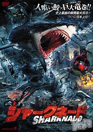 ���ܥ���Х��顦�����club RUDAN(����֥����) ��2020ǯ2��6���̥�֥����֥��㡼���ͥ��ɡ�