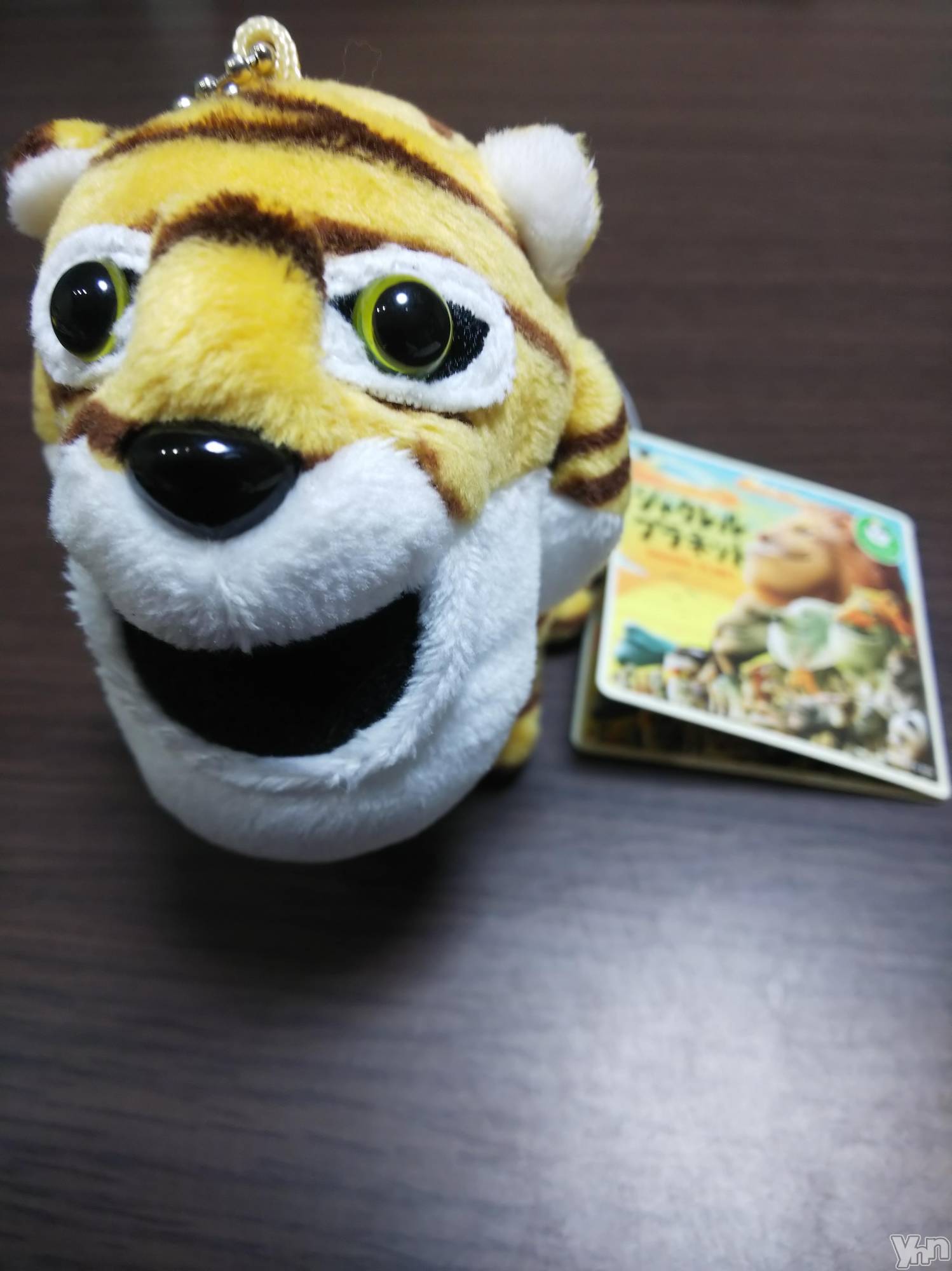 ���ܥ���Х��顦�����club RUDAN(����֥����) ��2020ǯ2��24���̥�֥����֥��㥯��뤵�����