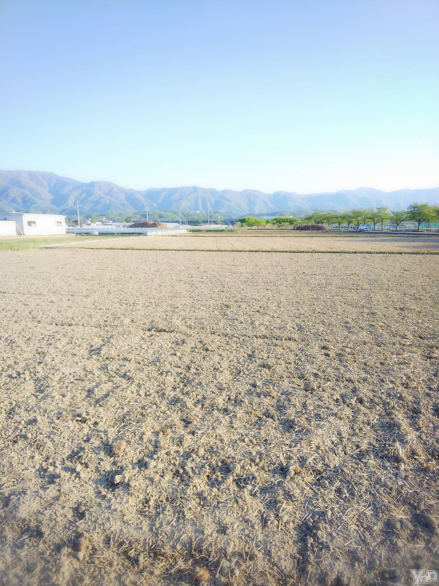 ���ܥ���Х��顦�����club RUDAN(����֥����) ��2020ǯ4��26���̥�֥����֥��˥󥰡�