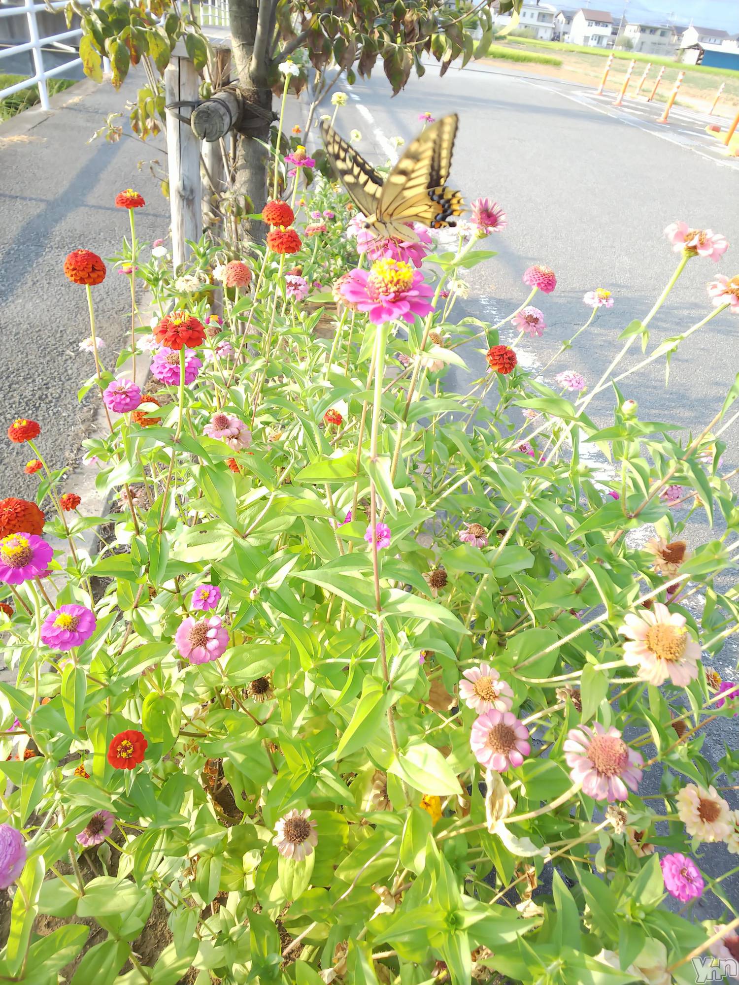 ���ܥ���Х��顦�����club RUDAN(����֥����) ��2020ǯ8��19���̥�֥����֥�����ĳ��