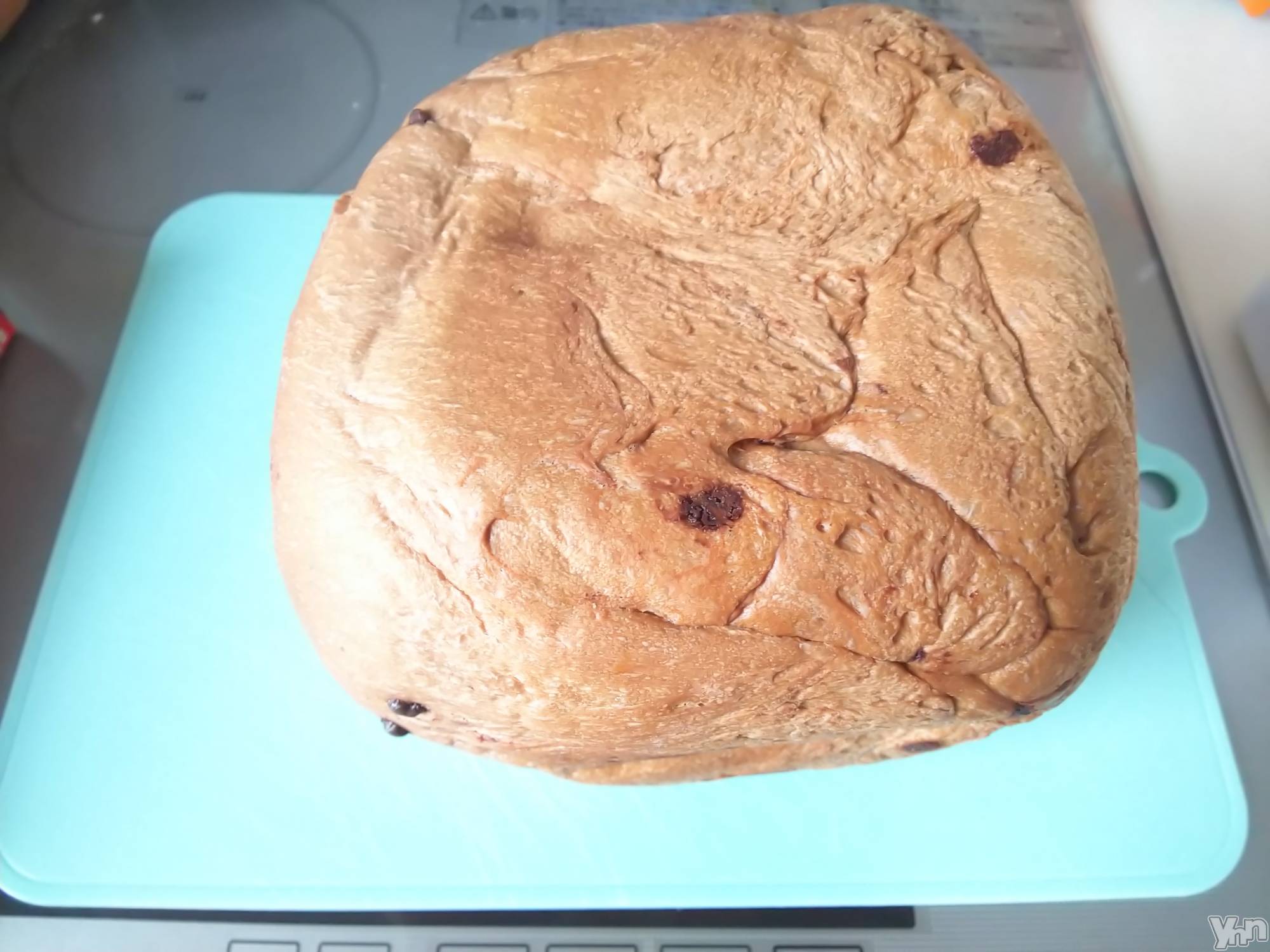 ���ܥ���Х��顦�����club RUDAN(����֥����) ��2020ǯ9��7���̥�֥����֥��祳�ѥ��