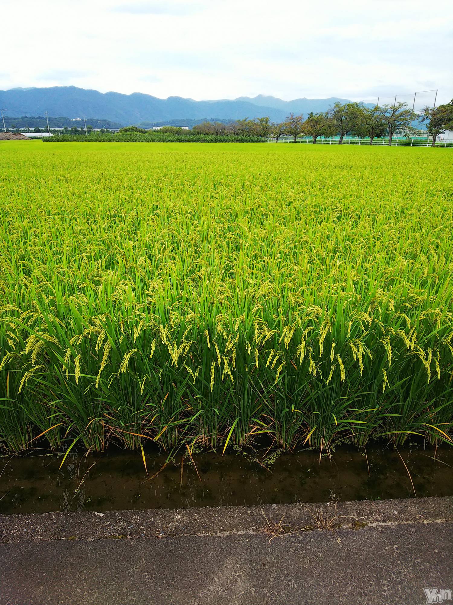 ���ܥ���Х��顦�����club RUDAN(����֥����) ��2020ǯ9��16���̥�֥����ֵפ��֤�ˡ�