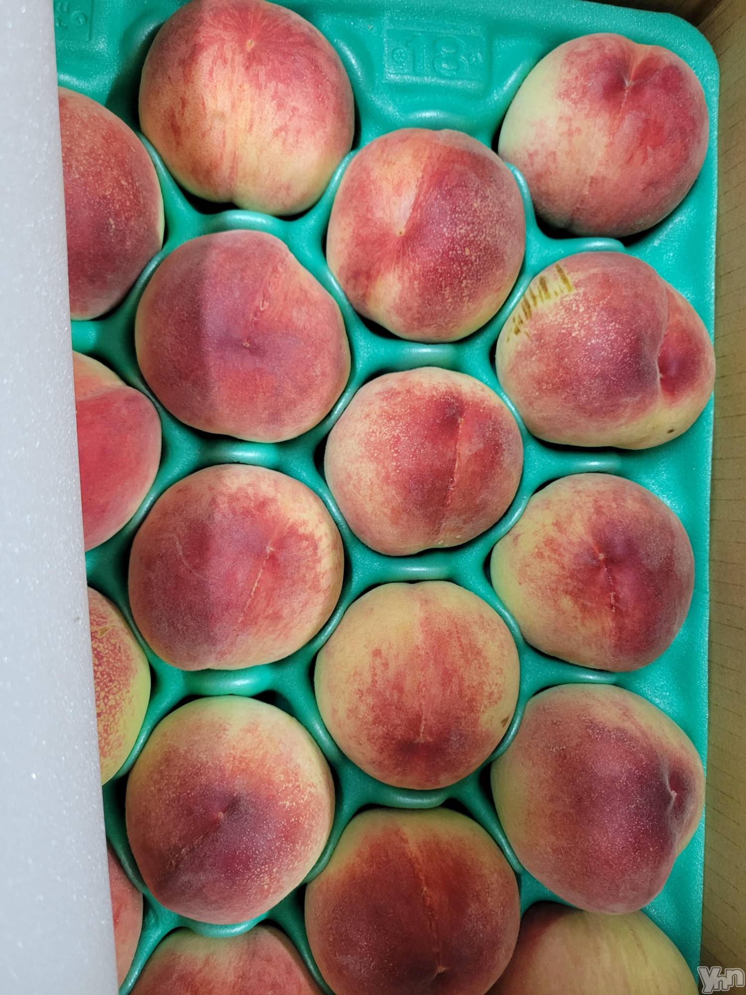 ���ܥ���Х��顦�����club RUDAN(����֥����) ��2021ǯ6��29���̥�֥�������⭐��