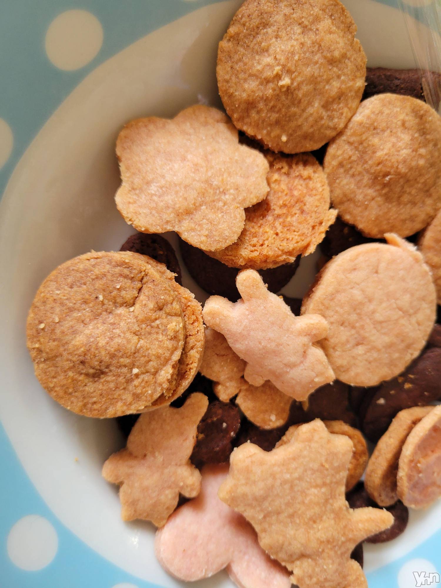 ���ܥ���Х��顦�����club RUDAN(����֥����) ��2021ǯ7��12���̥�֥����֥��å�����