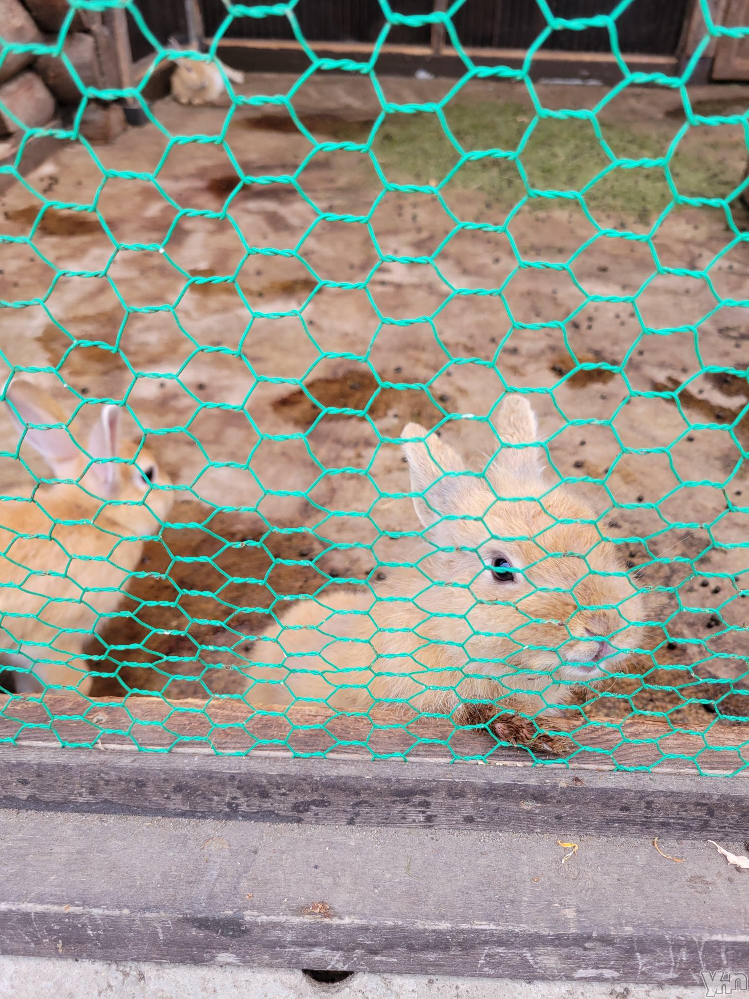 ���ܥ���Х��顦�����club RUDAN(����֥����) ��2021ǯ8��8���̥�֥����֥�������