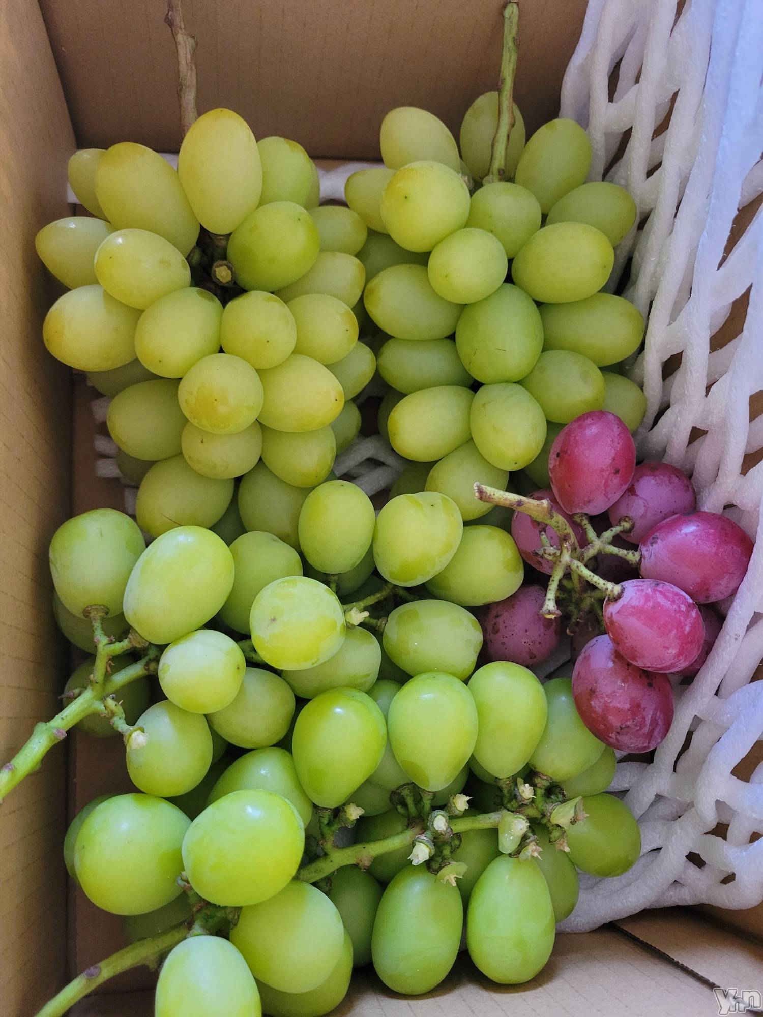 ���ܥ���Х��顦�����club RUDAN(����֥����) ��2021ǯ9��9���̥�֥�������ƺ( �ߢώ�)��