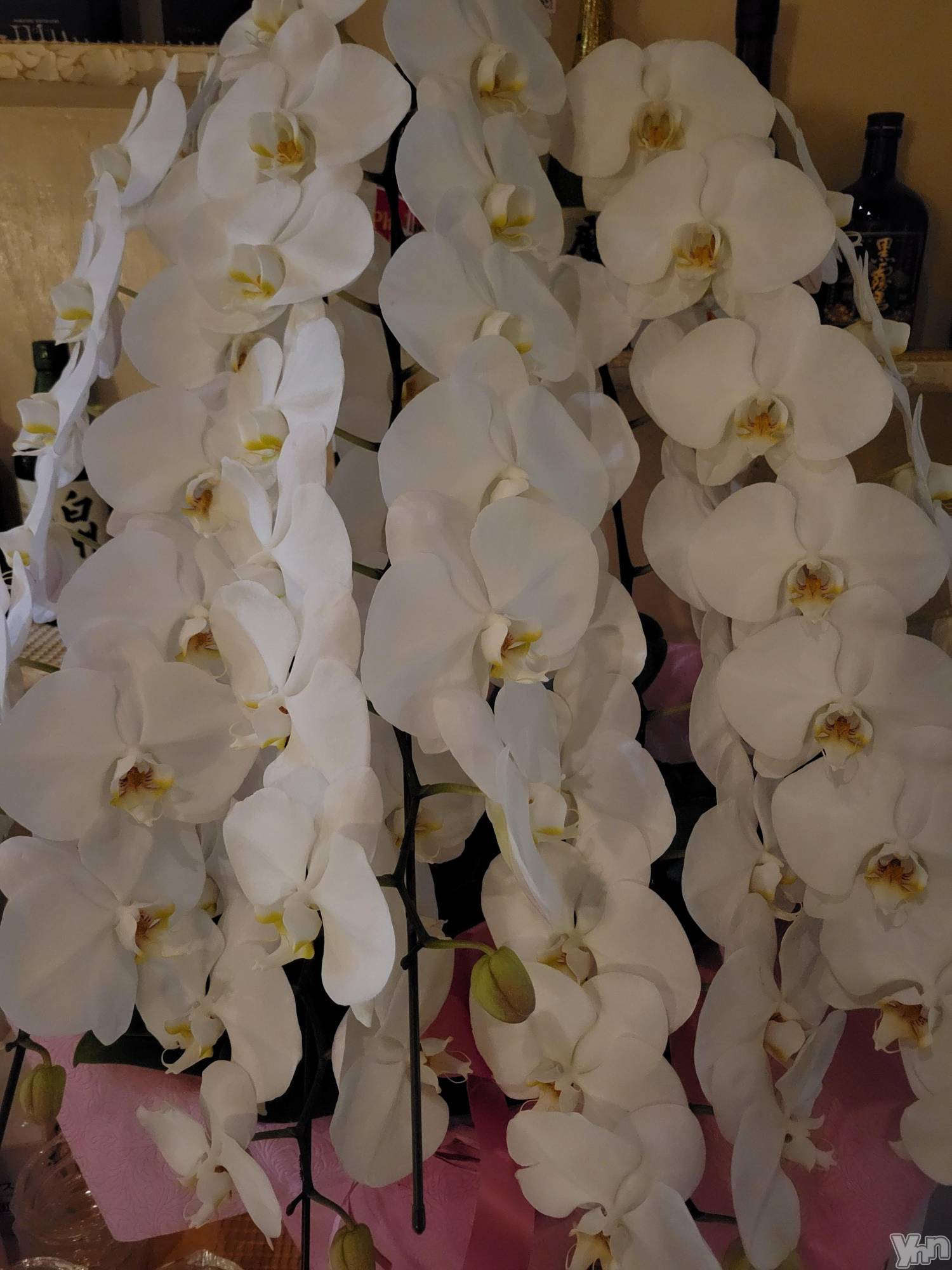 ���ܥ���Х��顦�����club RUDAN(����֥����) ��2021ǯ9��18���̥�֥����֤�������⭐��