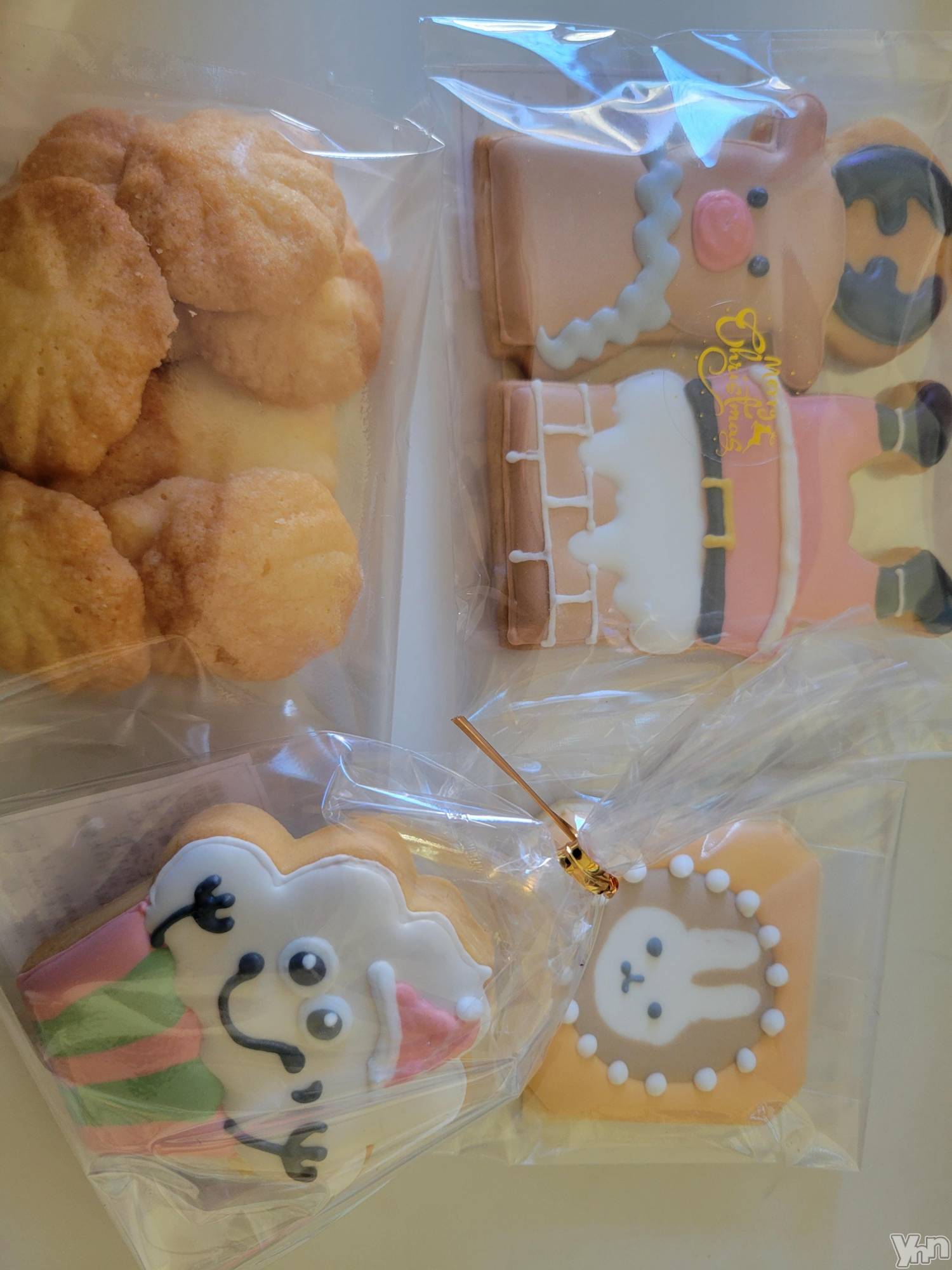 ���ܥ���Х��顦�����club RUDAN(����֥����) ��2021ǯ11��28���̥�֥����֥������󥰥��å�����