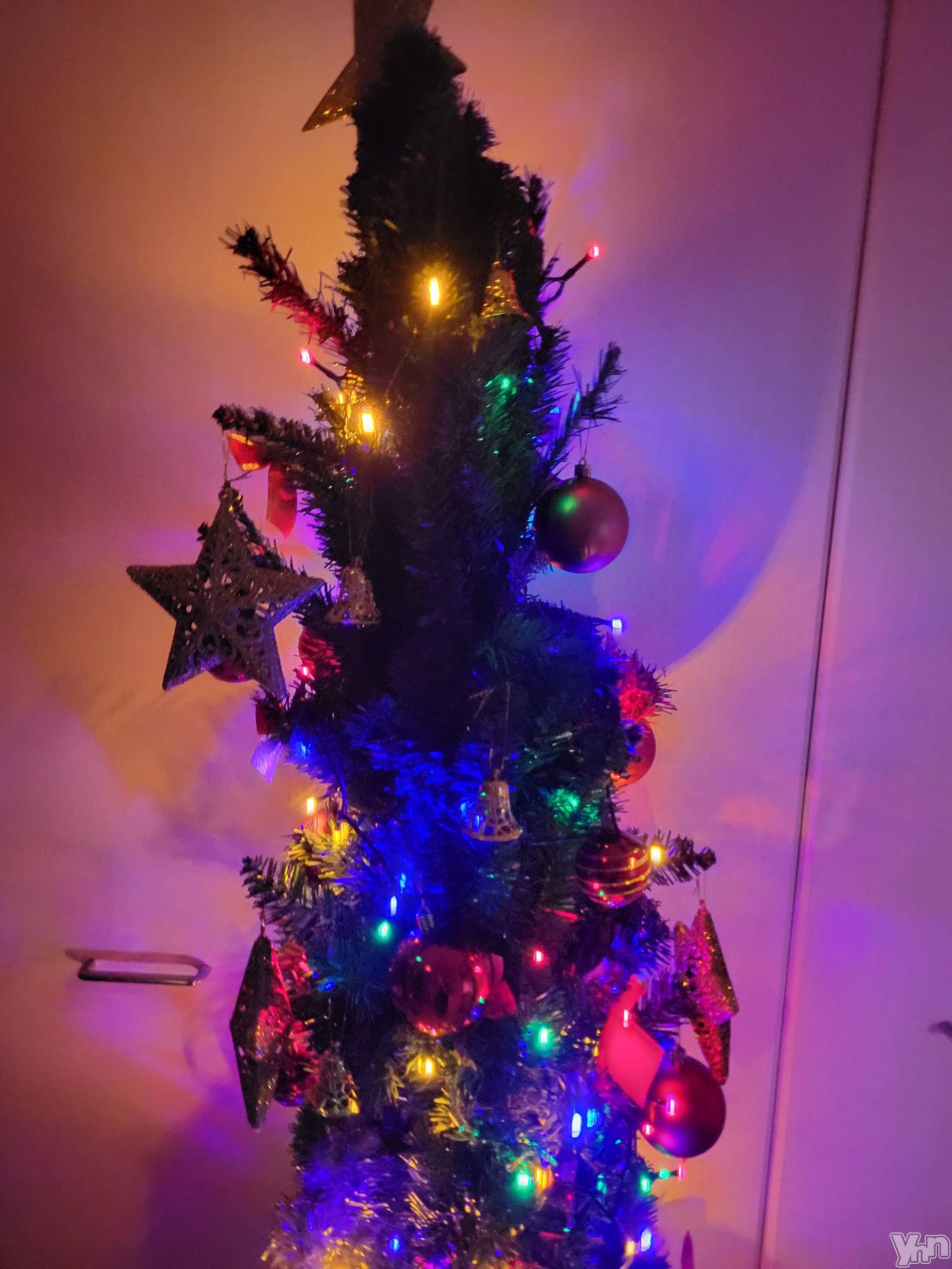 ���ܥ���Х��顦�����club RUDAN(����֥����) ��2021ǯ12��1���̥�֥�����12��⭐��