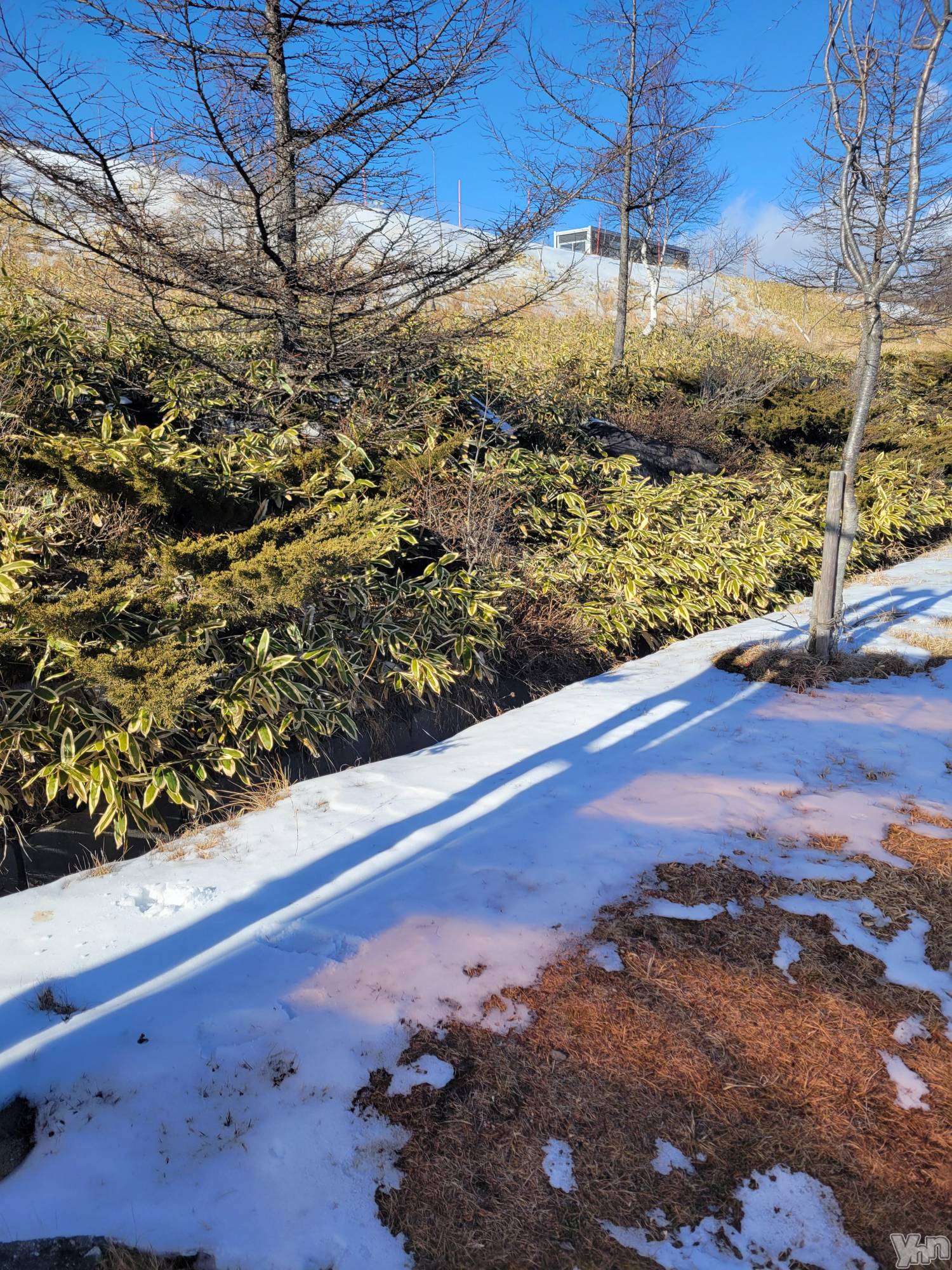 ���ܥ���Х��顦�����club RUDAN(����֥����) ��2021ǯ12��23���̥�֥�������⭐��