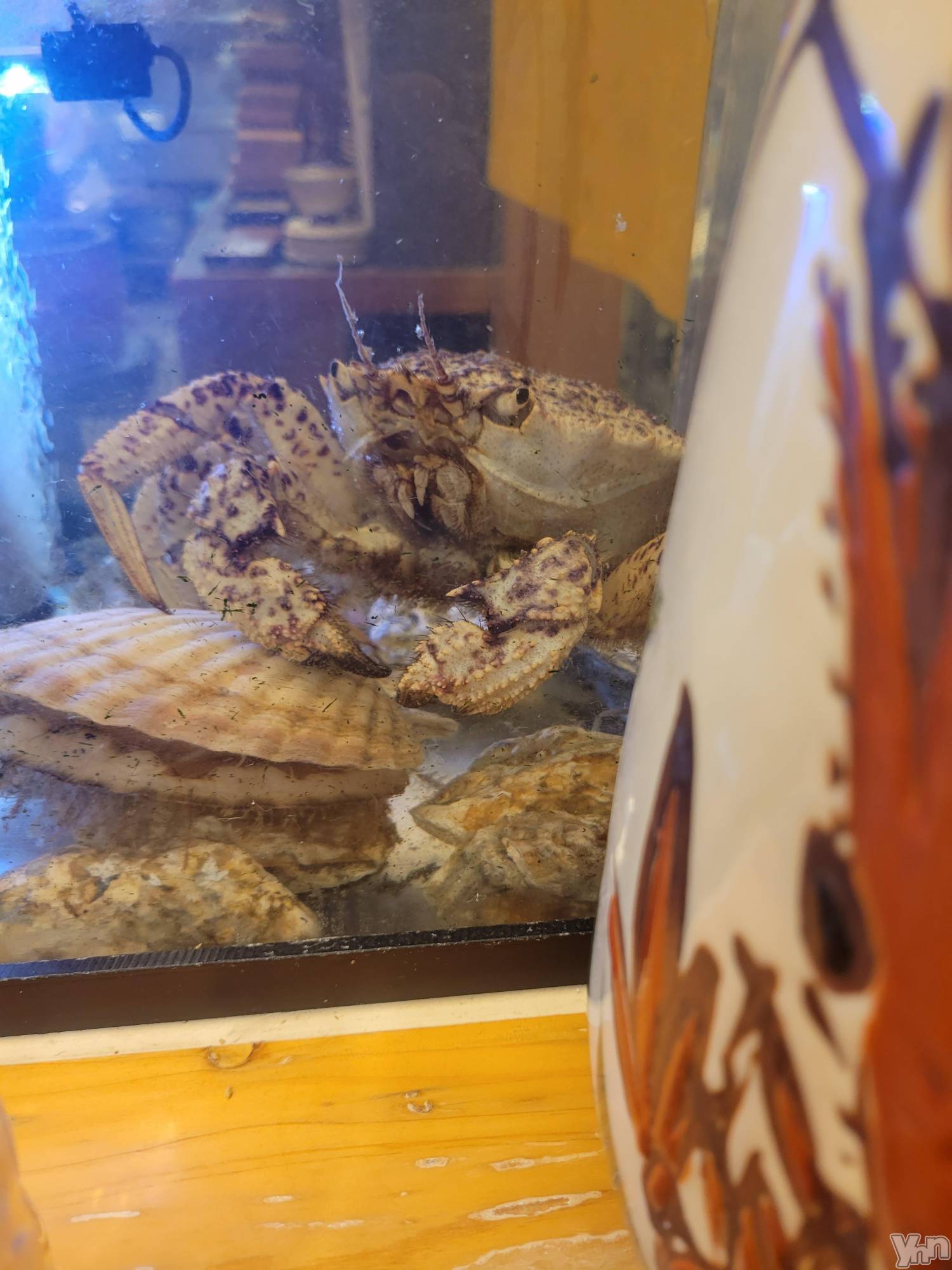 ���ܥ���Х��顦�����club RUDAN(����֥����) ��2022ǯ3��19���̥�֥����ֳ�����🦀��