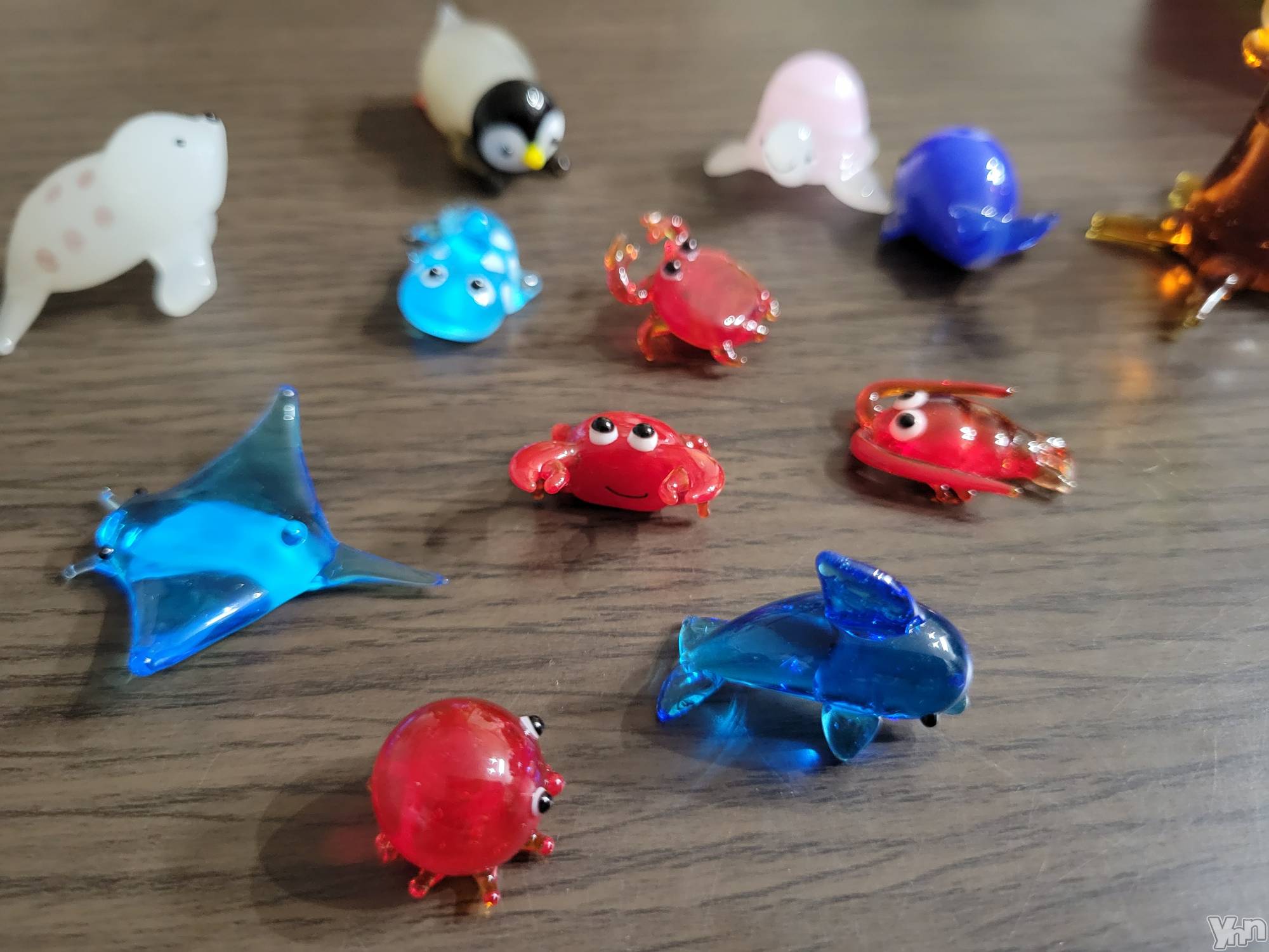 ���ܥ���Х��顦�����club RUDAN(����֥����) ��2022ǯ5��13���̥�֥����֥��饹�ٹ���