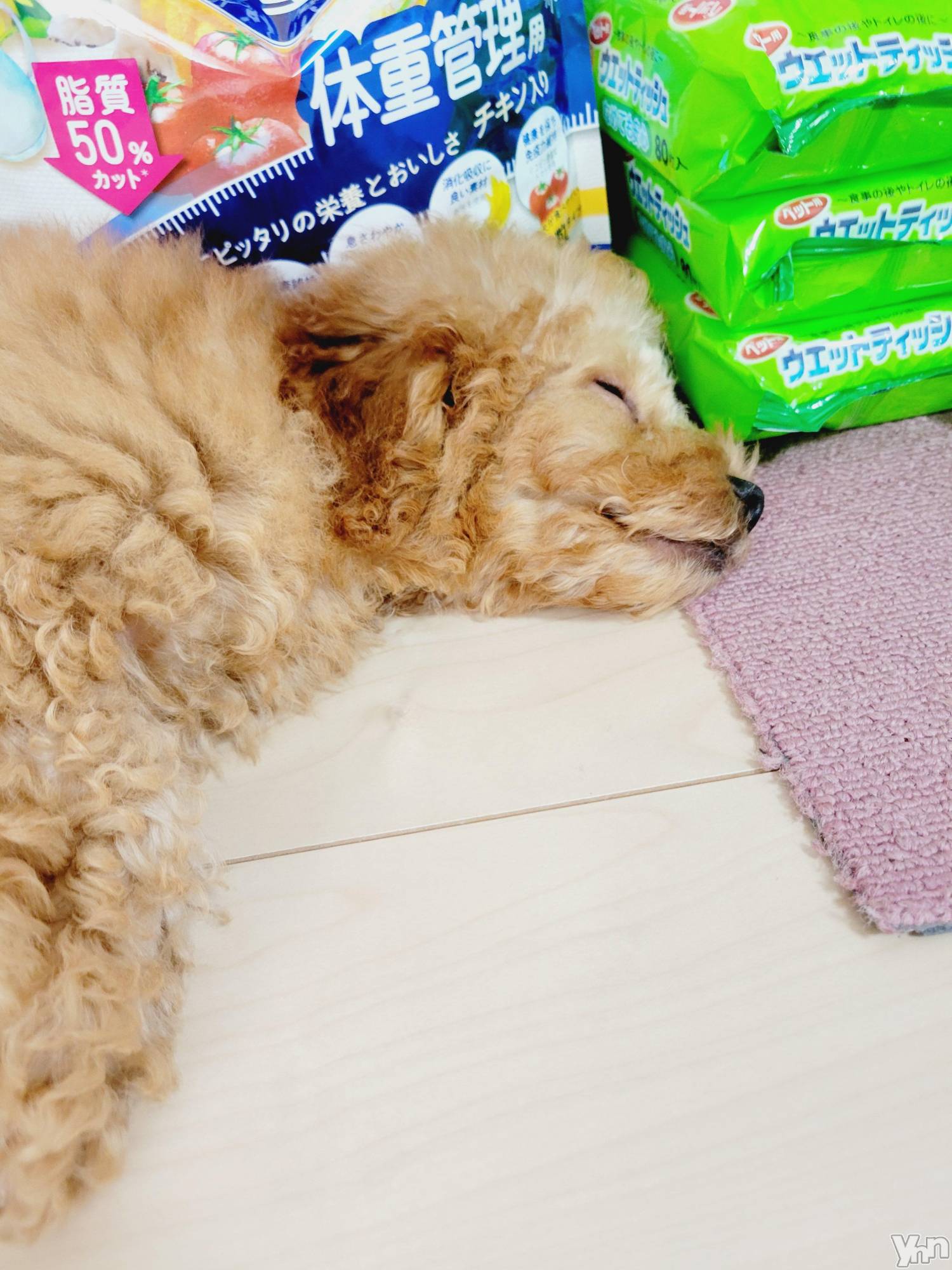 ���ܥ���Х��顦�����club RUDAN(����֥����) ��2022ǯ8��26���̥�֥����֥�ե��🐻��