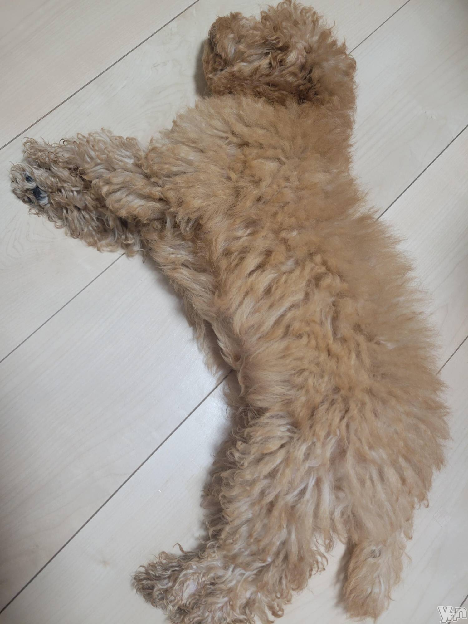 ���ܥ���Х��顦�����club RUDAN(����֥����) ��2022ǯ9��12���̥�֥����֥⥳�⥳��