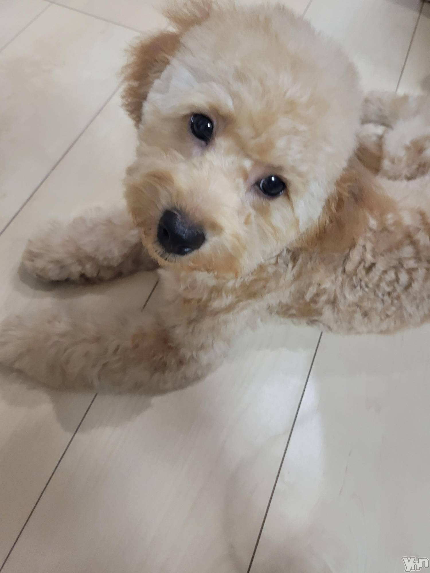 ���ܥ���Х��顦�����club RUDAN(����֥����) ��2022ǯ9��23���̥�֥����֥ƥǥ��٥����åȡ�