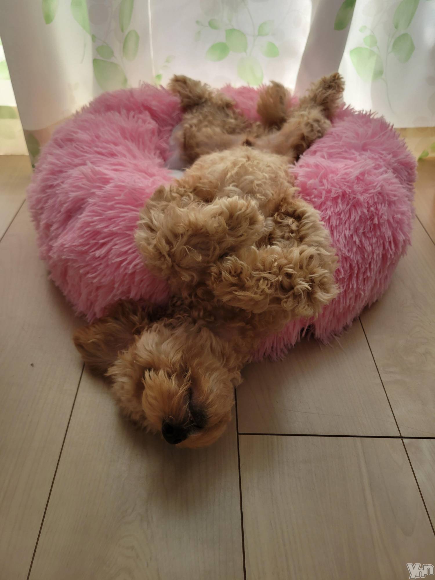 ���ܥ���Х��顦�����club RUDAN(����֥����) ��2022ǯ9��30���̥�֥����֤��뿲🐣��