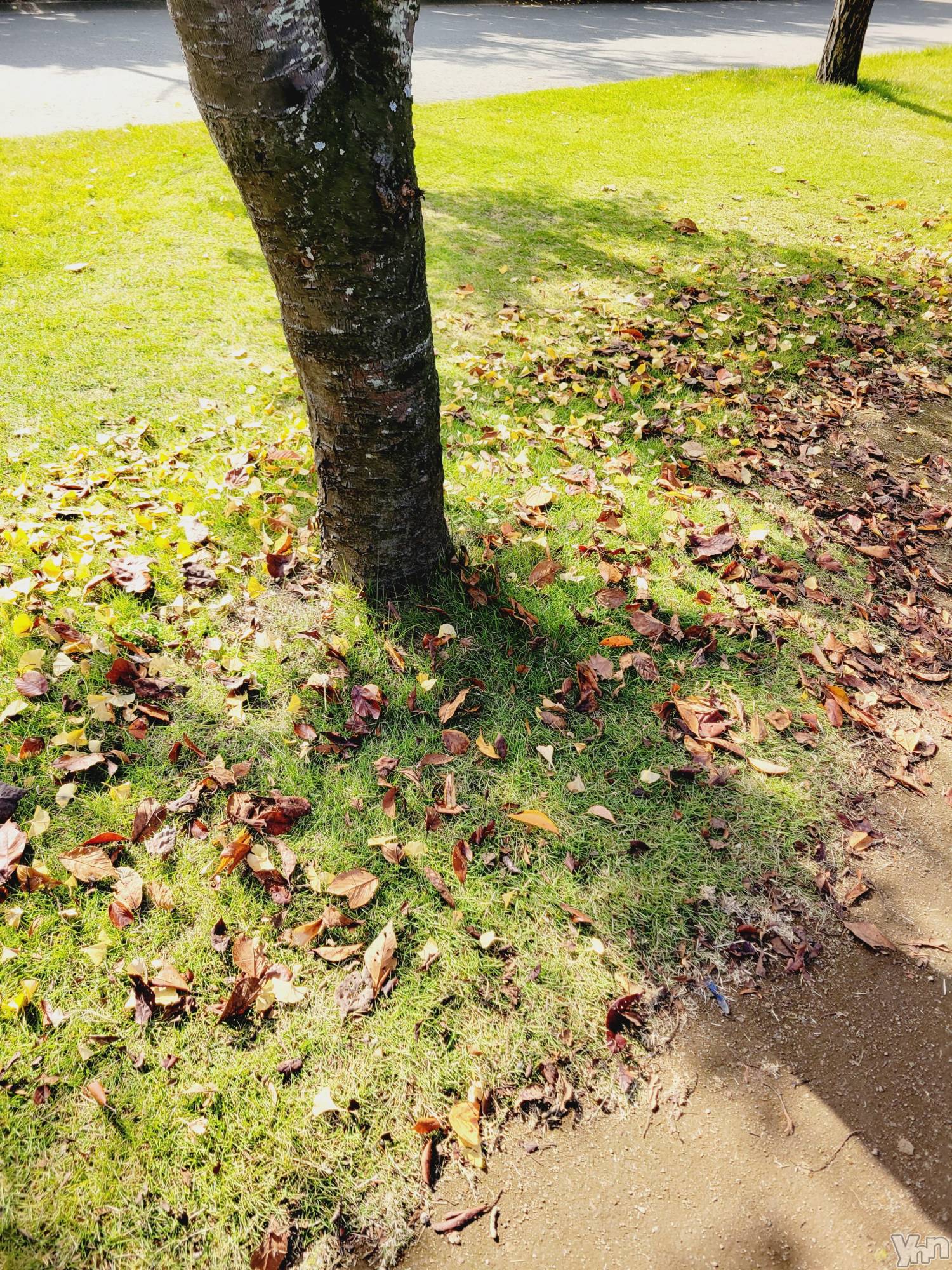 ���ܥ���Х��顦�����club RUDAN(����֥����) ��2022ǯ10��29���̥�֥����ֽ��Ǥ�(�����ϡ���)��