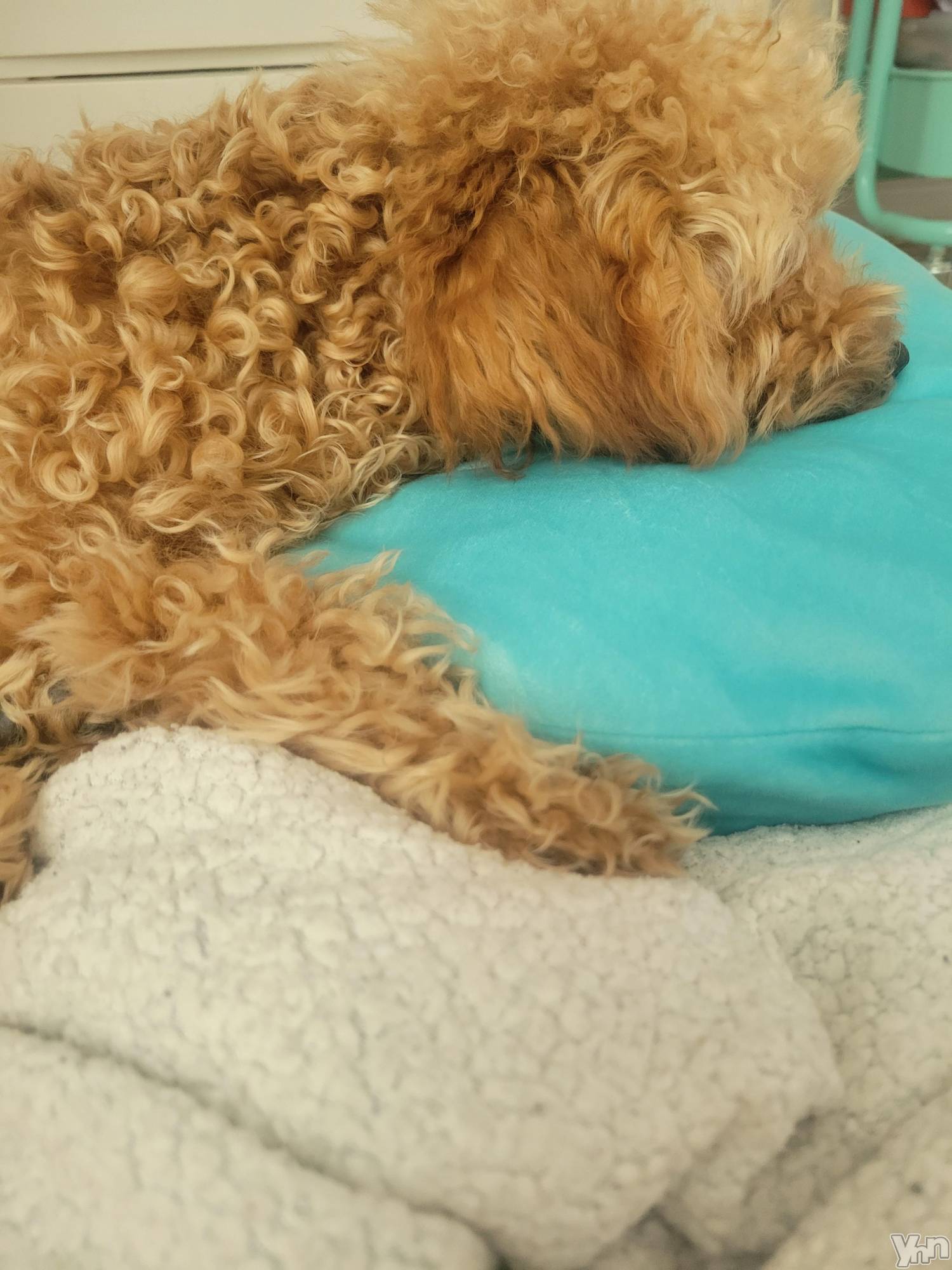 ���ܥ���Х��顦�����club RUDAN(����֥����) ��2022ǯ11��17���̥�֥����֤��Ҥ��(�����ϡ���)��