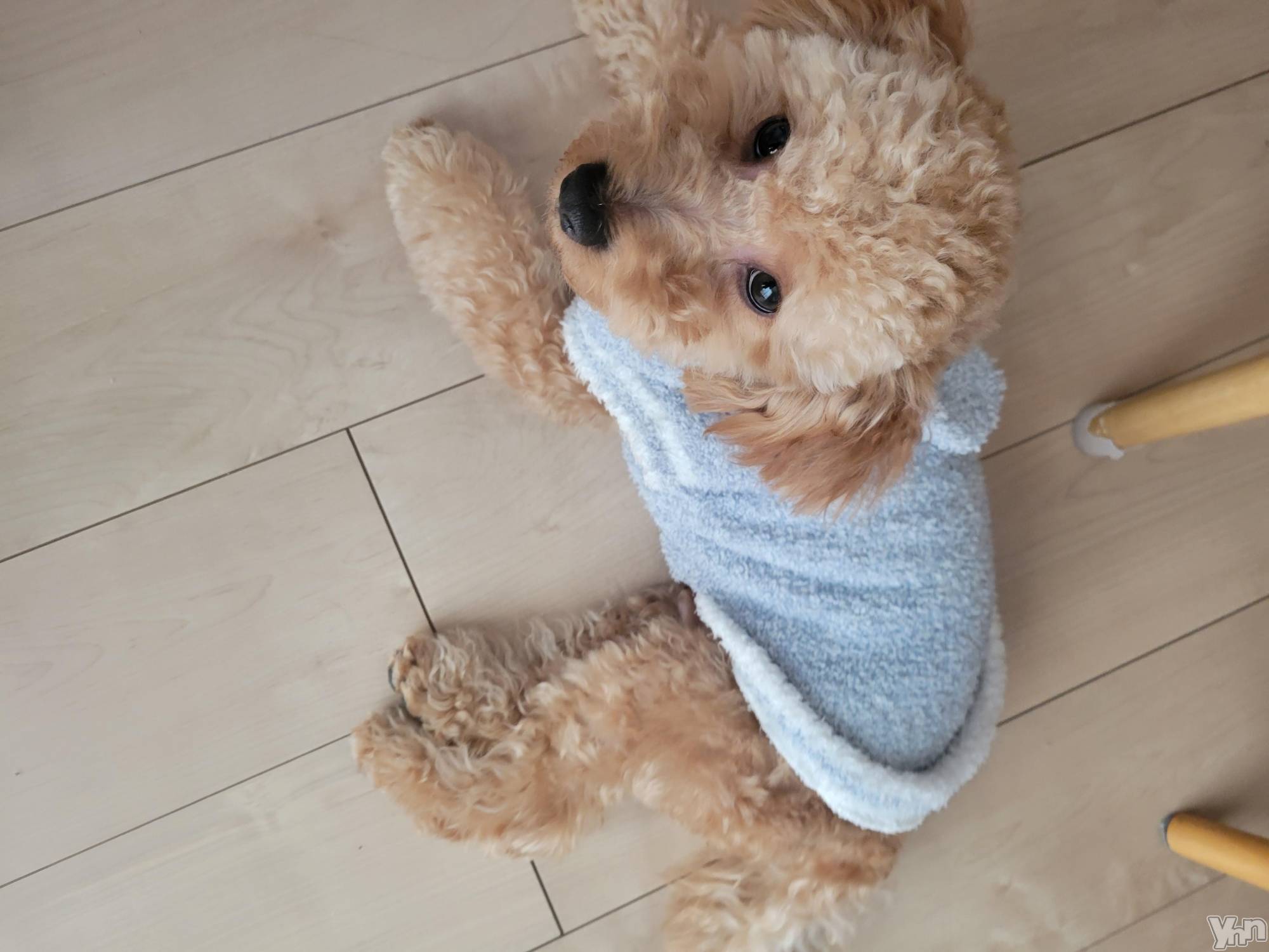 ���ܥ���Х��顦�����club RUDAN(����֥����) ��2022ǯ11��22���̥�֥����֤դ�դ��