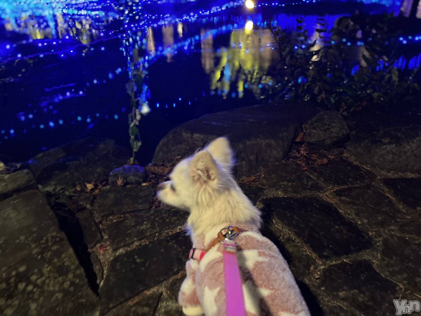 ���ܥ���Х��顦�����club RUDAN(����֥����) ��2022ǯ12��11���̥�֥����֤������