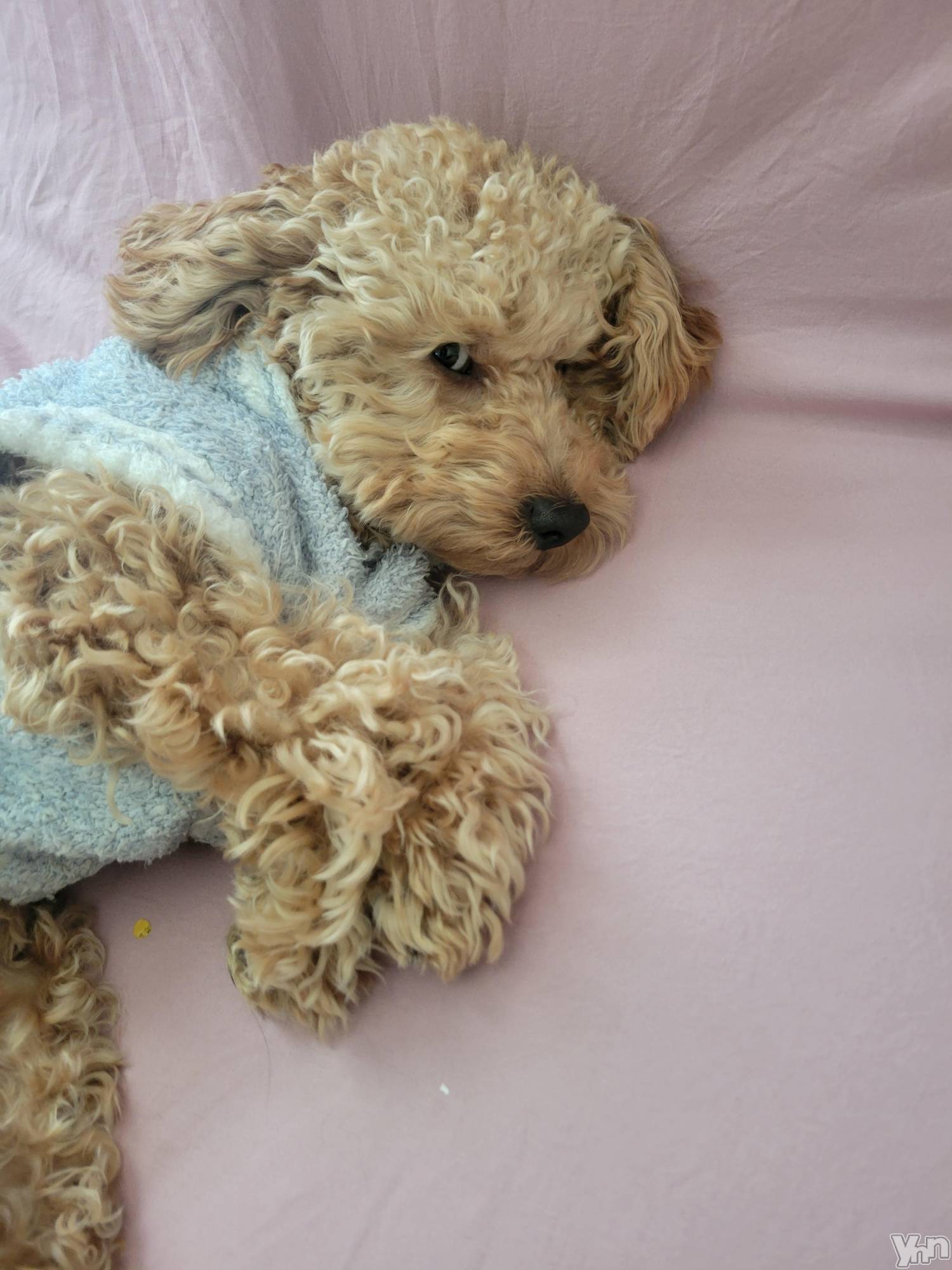 ���ܥ���Х��顦�����club RUDAN(����֥����) ��2022ǯ12��23���̥�֥������ߡ�